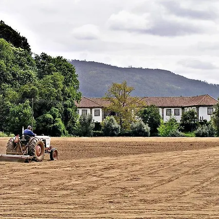 Paco De Lanheses Lanhezes