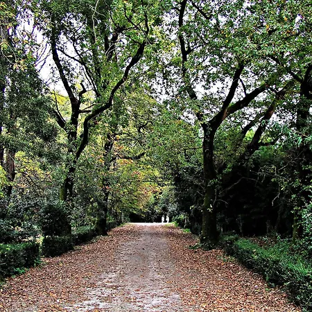 Paco De Lanheses Lanhezes