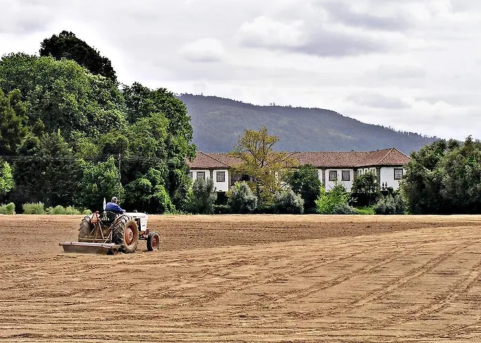 Paço De Lanheses Lanhezes