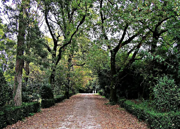 Paço De Lanheses Lanhezes